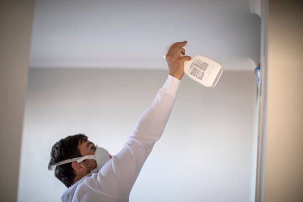 Office Mold Removal Services in Otterbein, IN