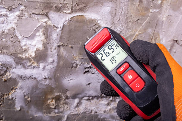 Crawl Space Mold Removal in Otterbein, IN